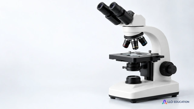 Un microscope optique de laboratoire, seul et sans marquage, sur fond clair.